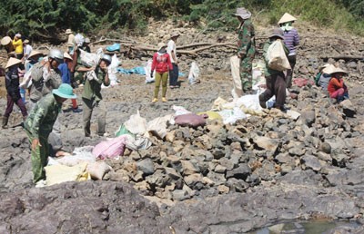 Residents dam the Krong No River to take irrigation water in Dak Nong Province on February 20 (Photo: SGGP) Residents dam the Krong No River to take irrigation water in Dak Nong Province on February 20 (Photo: SGGP)
